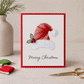 🎄 🧵Kit de bricolage « Merry & Bright Christmas » – Créez de magnifiques cartes de vœux faites main ✨