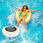 🏆Durée limitée 50% de réduction🌞💧Ioniseur flottant solaire pour piscine✨