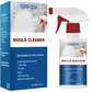 💥Hot Sale 💥 nouveau spray d'élimination de la moisissure domestique