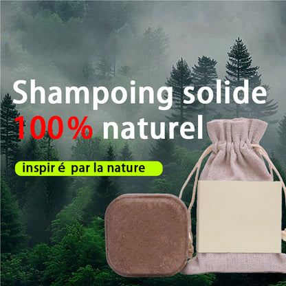 🌿🚫 Adieu pellicules et cheveux gras · Shampoing solide 2025