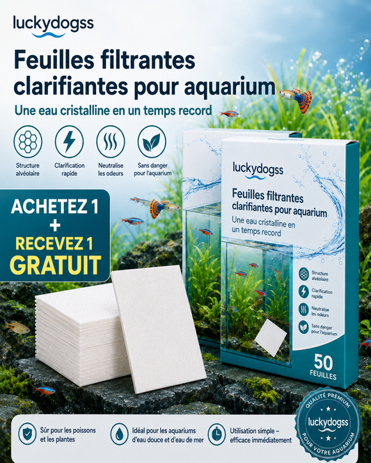 🐠 1 acheté, 1 offert ! ✨ FEUILLES CLARIFIANTES POUR AQUARIUM - Une eau cristalline en 24 heures, élimine les odeurs et les impuretés, sans danger pour tous les poissons et toutes les plantes 🌿🔮