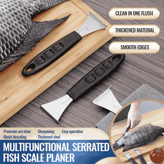 Écailleur à Poisson en Acier Inoxydable