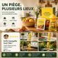 🏆 Piège à mouches suspendu intérieur extérieur, capture efficace sans toxique pour jardin maison et terrasse ✨
