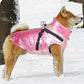 Manteau d'Hiver Chaud et Imperméable pour Chien