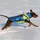Manteau d'Hiver Chaud et Imperméable pour Chien
