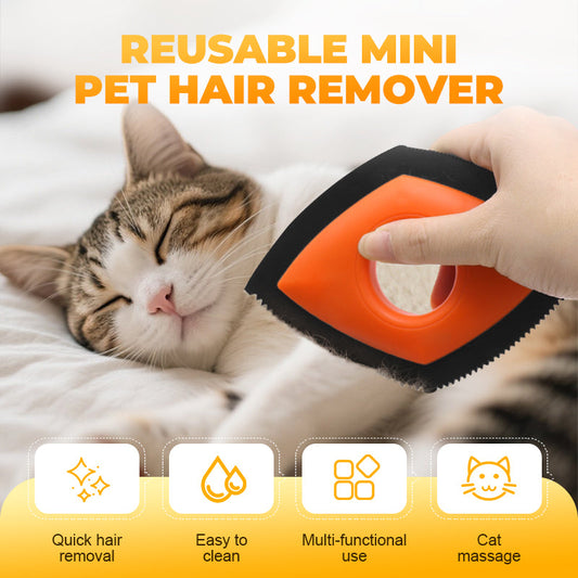 Reusable Mini Pet Hair Remover