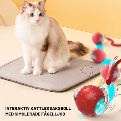Balle interactive pour chat avec des cris d'oiseaux simulés