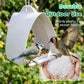 🐦✨ Mangeoire à Oiseaux Suspendue Moderne 2026 UPGRADE | Pour Jardins Extérieurs | Design Élégant, Qualité Supérieure 💎