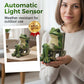 🐸🌞 50% DE RÉDUCTION – Décoration solaire de jardin : grenouille sur fauteuil à bascule | S’allume automatiquement la nuit, résiste à la pluie, charme garanti ✨🌿