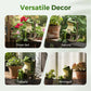 🐸🌞 50% DE RÉDUCTION – Décoration solaire de jardin : grenouille sur fauteuil à bascule | S’allume automatiquement la nuit, résiste à la pluie, charme garanti ✨🌿
