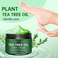 Soothing Aloe Vera & Tea Tree Foot Moisturizer