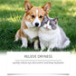 🐶🐱Collyre pour chiens et chats 💧👁️