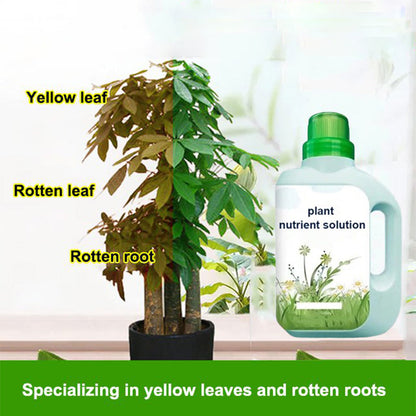 Solution nutritionnelle universelle pour les plantes