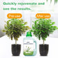 Solution nutritionnelle universelle pour les plantes