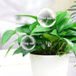 Solution nutritionnelle universelle pour les plantes