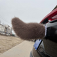 Queue de voiture électrique télécommandée en peluche