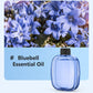 🔥‑50% PROMO🔥Diffuseur d’aromathérapie automatique 🎐Silencieux, diffusion régulière, ambiances parfumées chez vous ✨