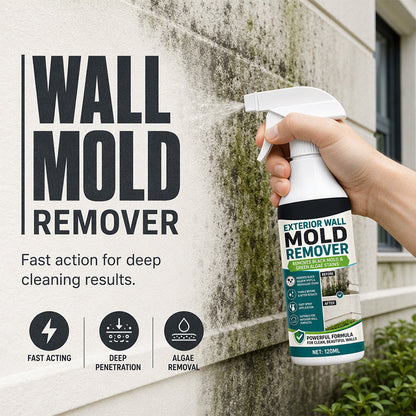 Spray anti-moisissure pour murs à action rapide
