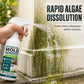 Spray anti-moisissure pour murs à action rapide