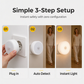 Plug-in Motion Sensor Night Light