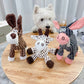 ⏳Dernier jour pour une réduction de 50%⏳Jouet en peluche grinçant pour chiens
