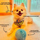 Balle D’exercice Automatique Anti-anxiété Pour Jouets Pour Chiens Et Chats