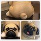 [Cadeaux Créatifs] Plateau de Rangement pour Clés avec Statue de Chien en Résine